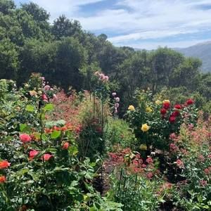 Meet your Posher, Nina